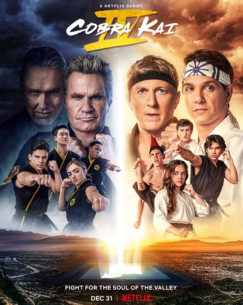 Cobra Kai S4 2021 Hindi Dubbed Completed Web Series HEVC ESub Movies4U