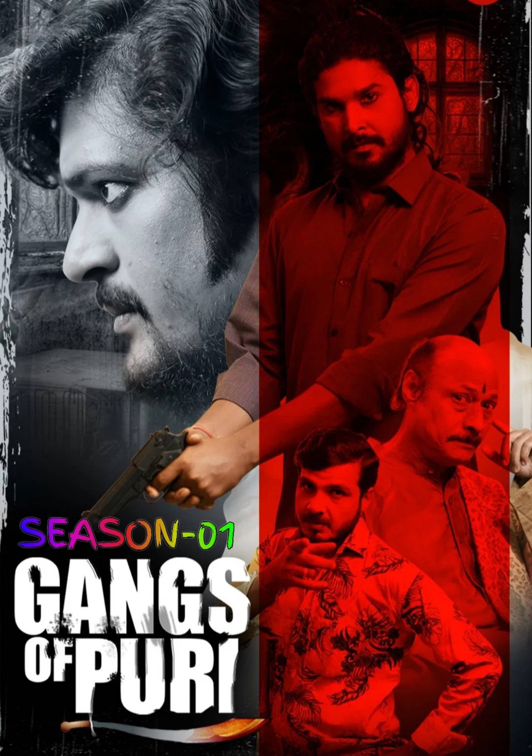 Gangs of Puri S01 2022 Odia Completed Web Series HEVC ESub Movies4U