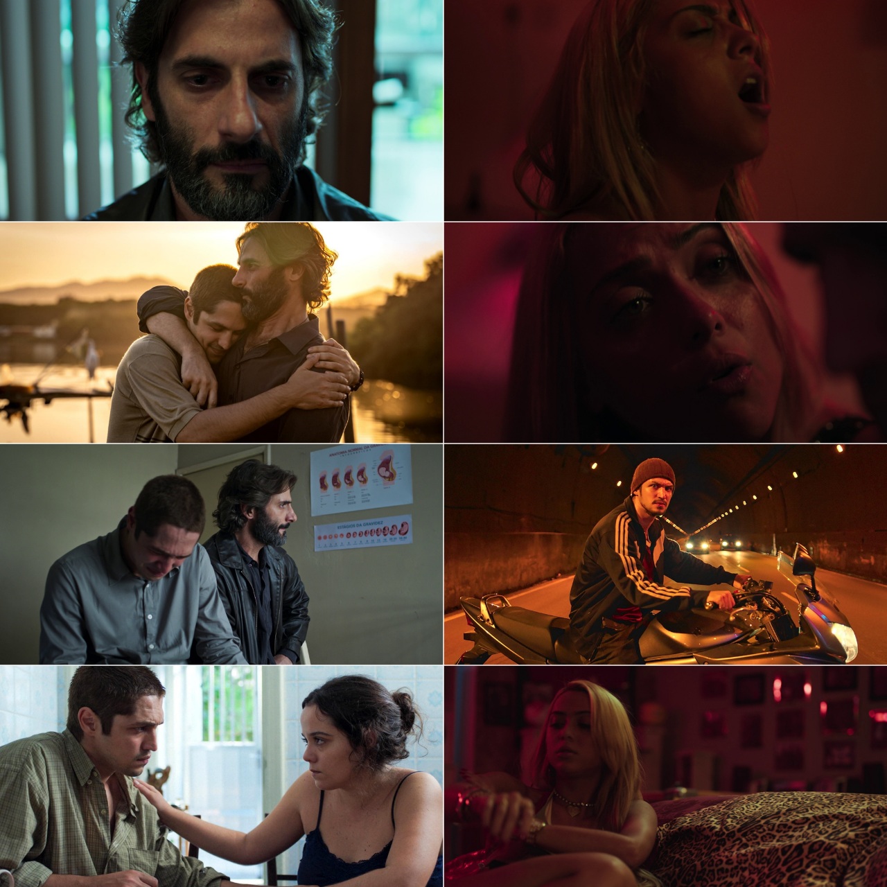 Dom S03 2024 Hindi English Dual Audio Completed Web Series HEVC ESub Movies4U screenshot