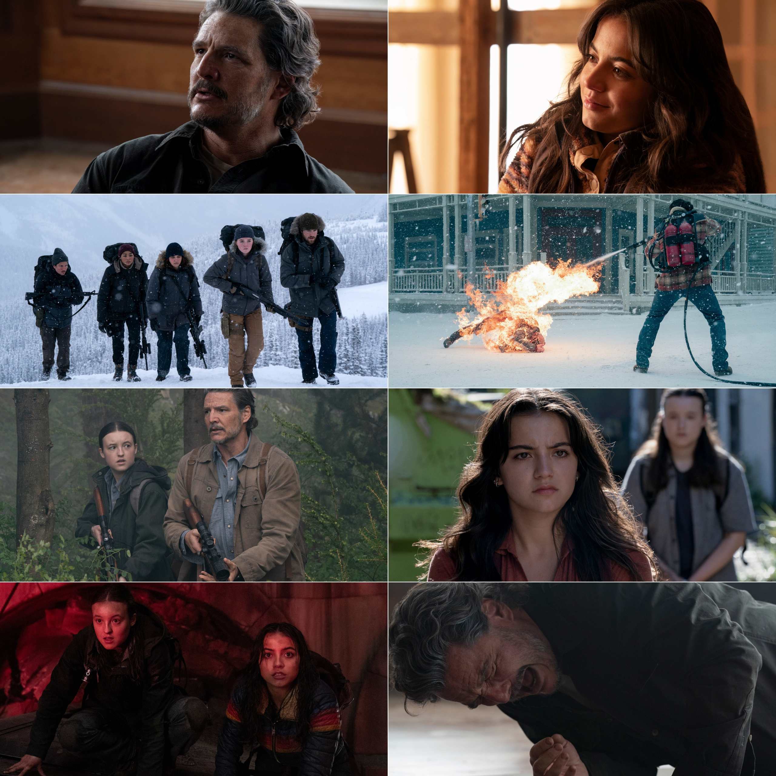 The Last of Us S02 2025 Hindi English Dual Audio Completed Web Series HEVC ESub Movies4U screenshot