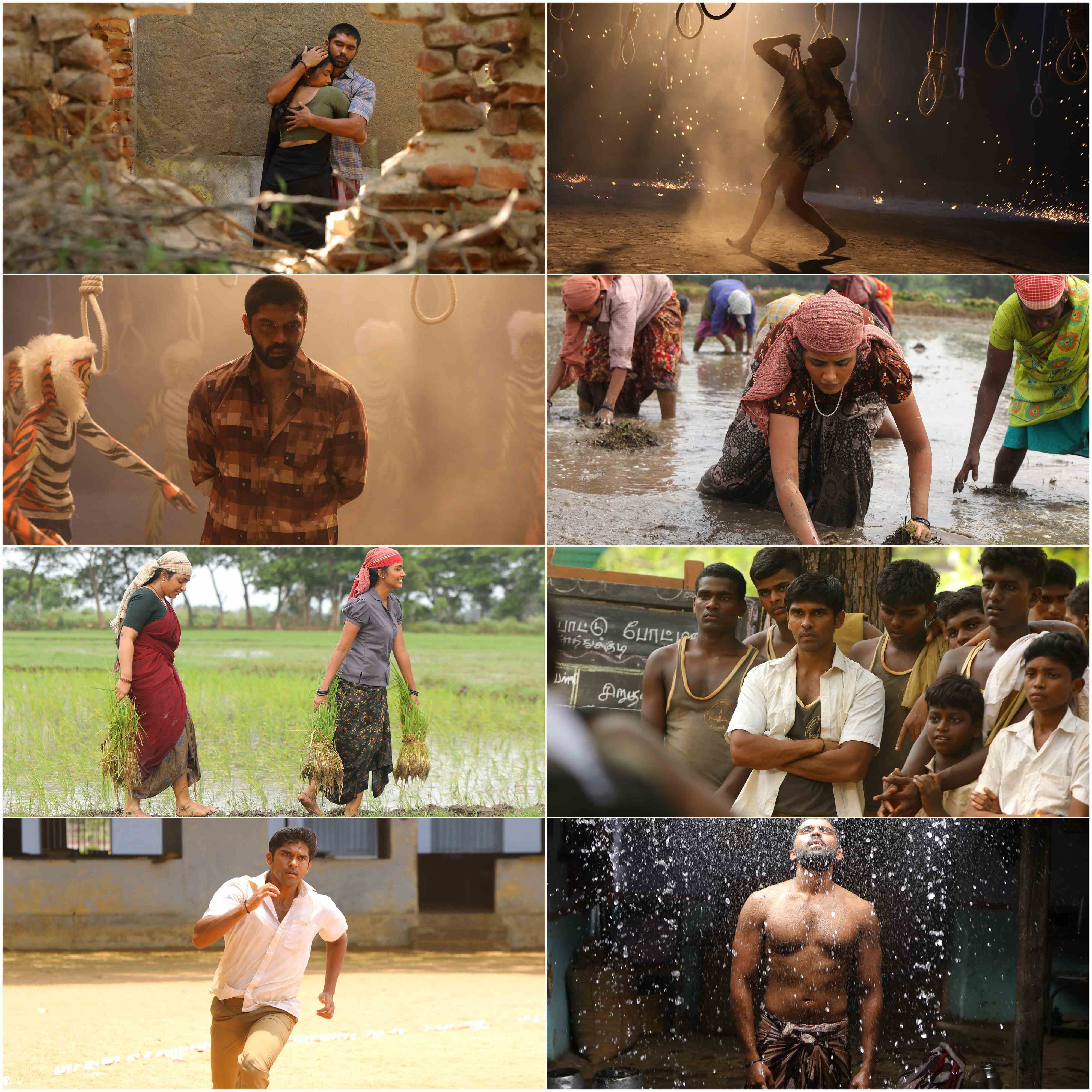 Bison Kaalamaadan 2025 Hindi Tamil Dual Audio UnCut South Movie HD ESub Movies4U screenshot