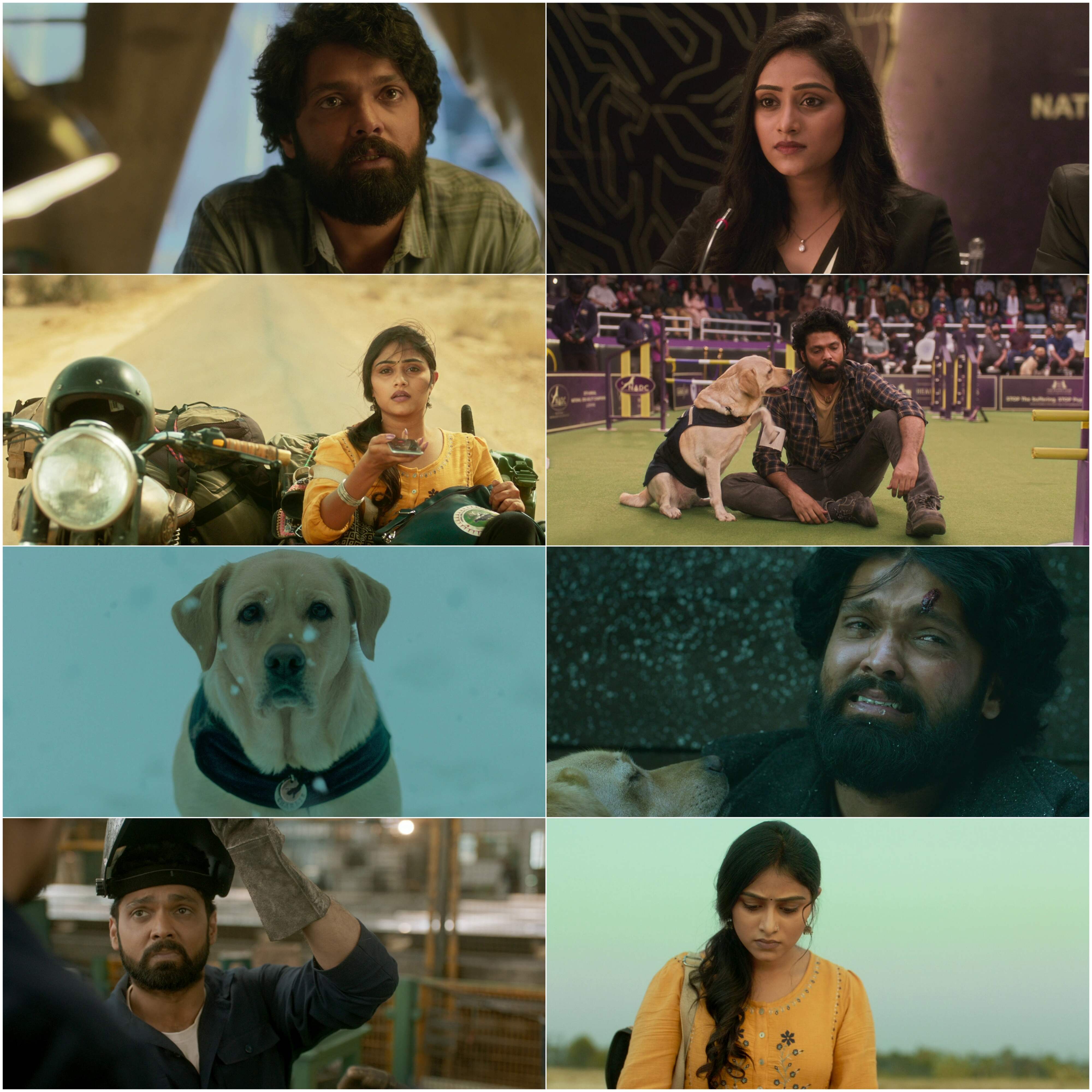 777 Charlie 2022 Hindi Kannada Dual Audio UnCut South Movie HD ESub Movies4U screenshot