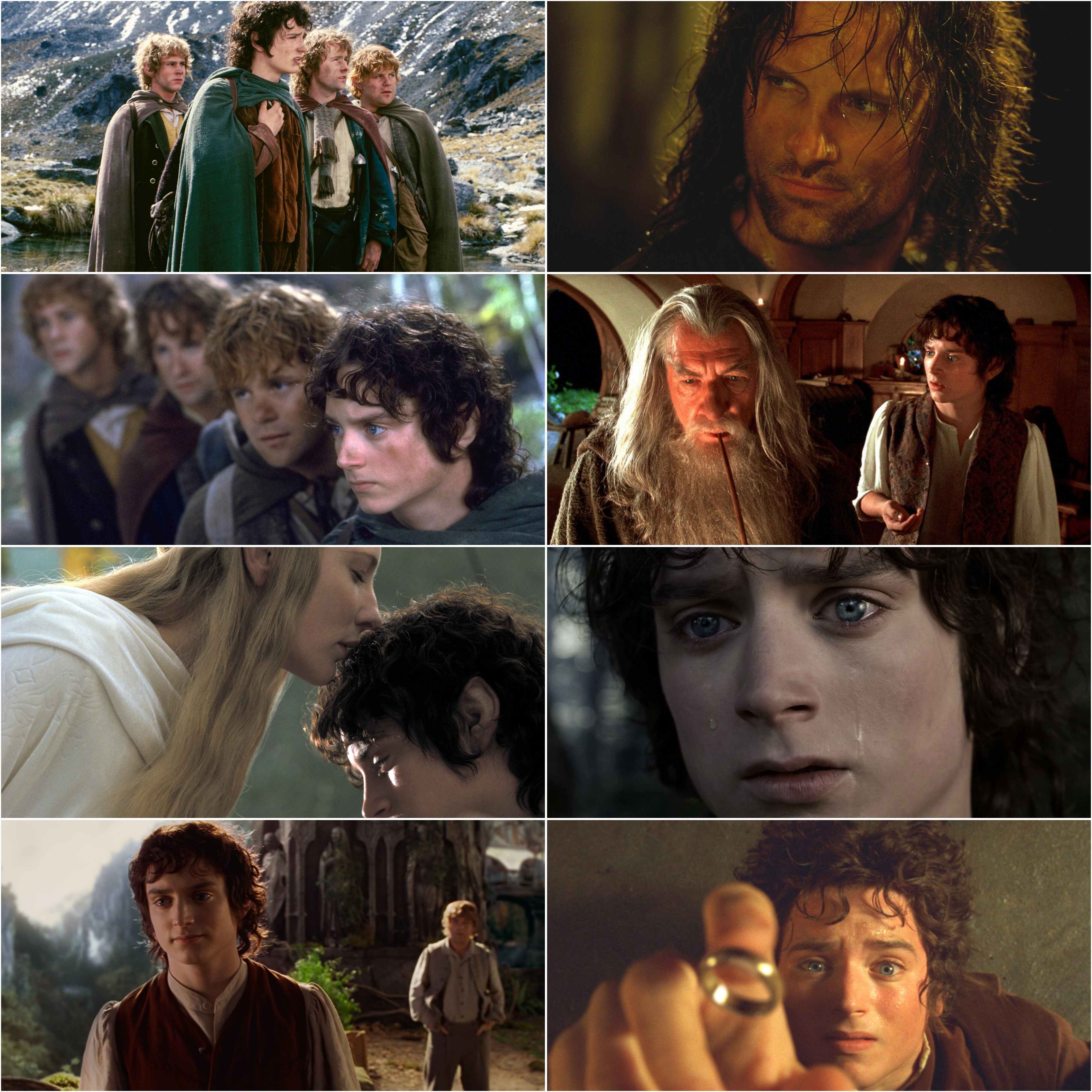 The Lord of the Rings The Fellowship of the Ring 2001 Hindi English Dual Audio Hollywood Movie BluRay HD ESub Movies4U screenshot